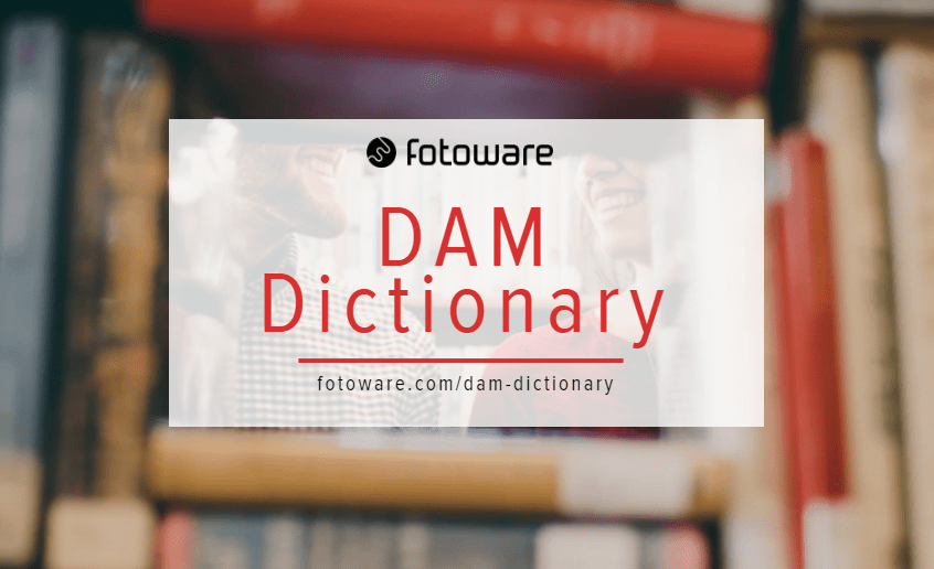 DAM Dictionary